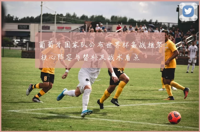 葡萄牙国家队公布世界杯备战框架 核心阵容与替补及战术看点
