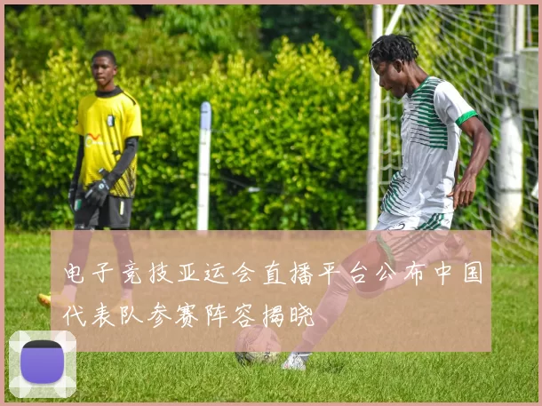 电子竞技亚运会直播平台公布中国代表队参赛阵容揭晓