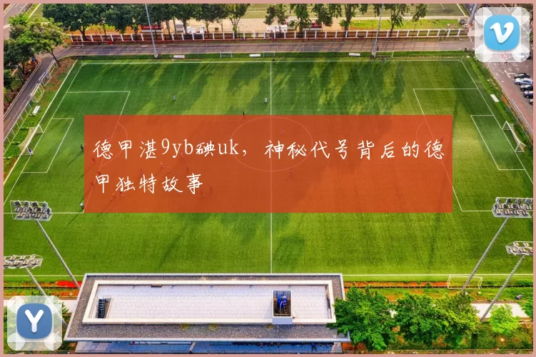 德甲湛9yb碘uk，神秘代号背后的德甲独特故事