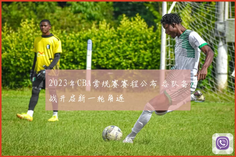 2023年CBA常规赛赛程公布 各队备战开启新一轮角逐
