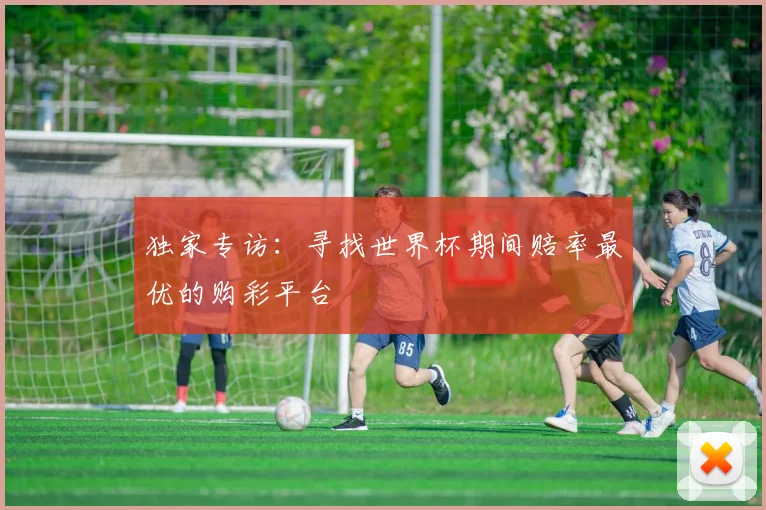 独家专访：寻找世界杯期间赔率最优的购彩平台