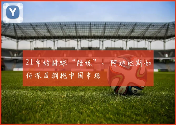 21年的排球“陪练”,阿迪达斯如何深度拥抱中国市场