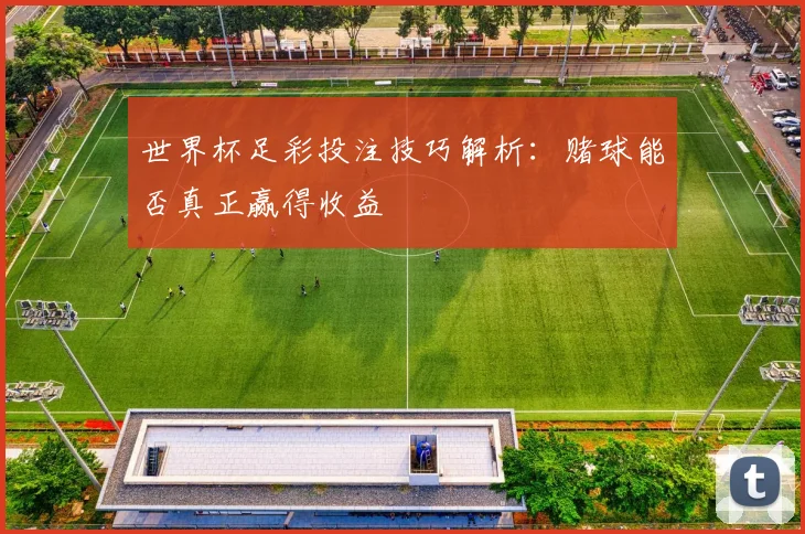 世界杯足彩投注技巧解析:赌球能否真正赢得收益