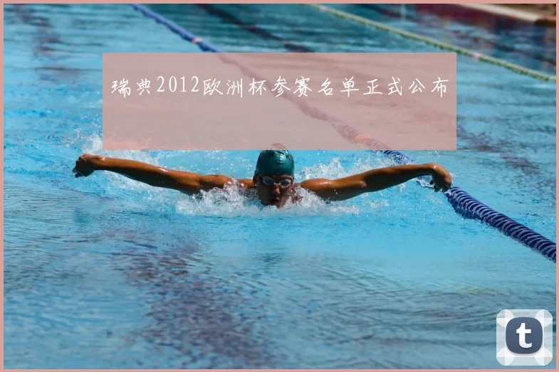 瑞典2012欧洲杯参赛名单正式公布